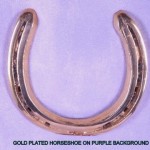 GOLD PLATED HORSESHOE ON PURPLE BACKGROUND