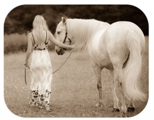 white-horse